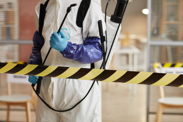 Professional Sewage Cleanup technician working in Bellvue, CO